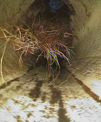 skärmavbild 2025 09 15 kl. 14.47.59 skärmavbild 2025 09 15 kl. 14.47.59